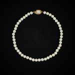 1325 3076 PEARL NECKLACE